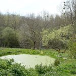 Belle propriété rurale à Châtelus Malvaleix