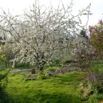 Belle propriété rurale à Châtelus Malvaleix
